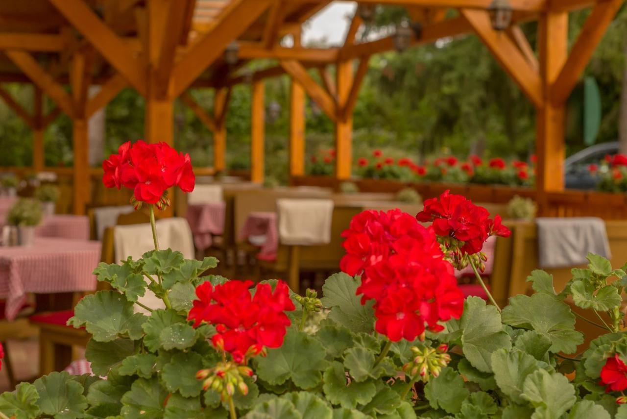 Lipicai Hotel Es Etterem Szilvásvárad المظهر الخارجي الصورة